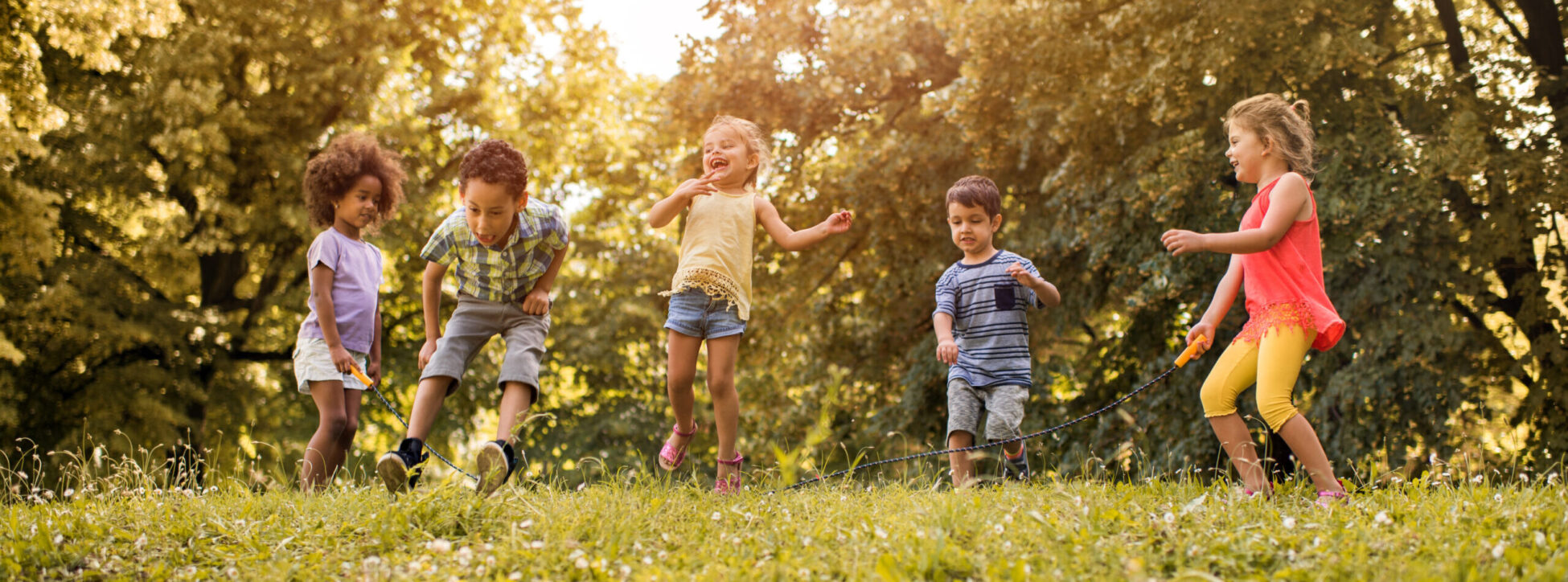 Cropped by Chaya to try different design